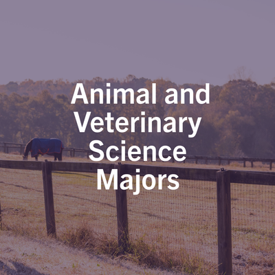 Animal and Veterinary Sciences