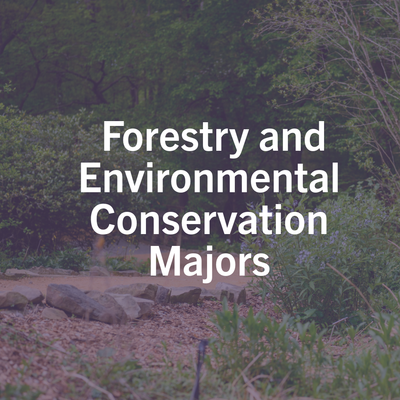 Forestry and Environmental Conversation