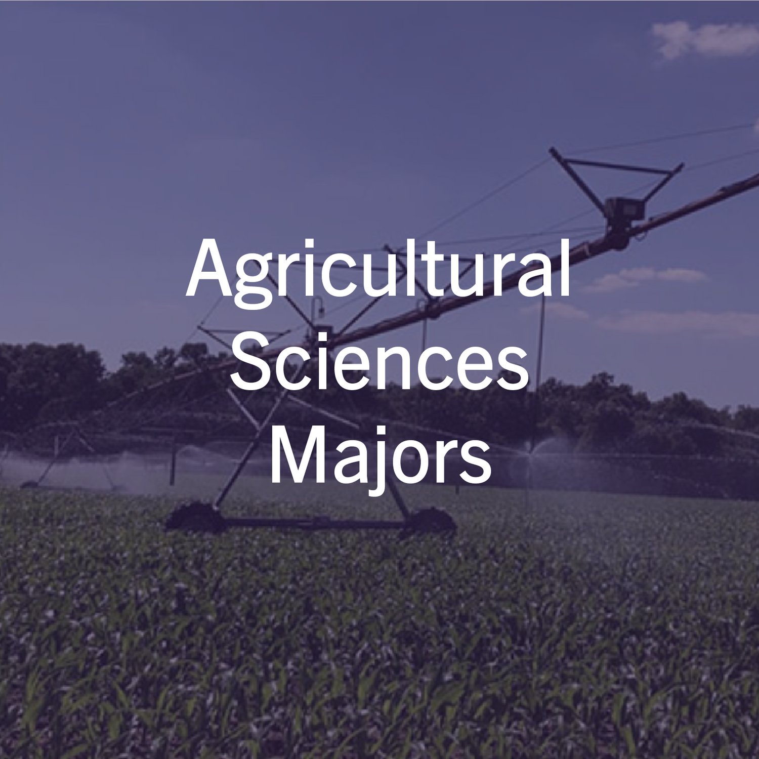 Agricultural Sciences