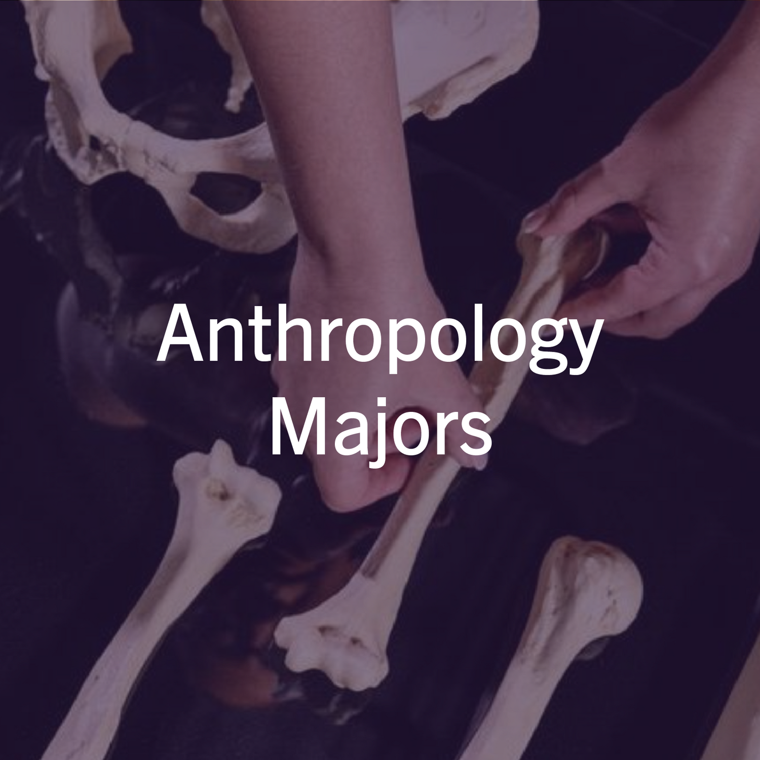 Anthropology
