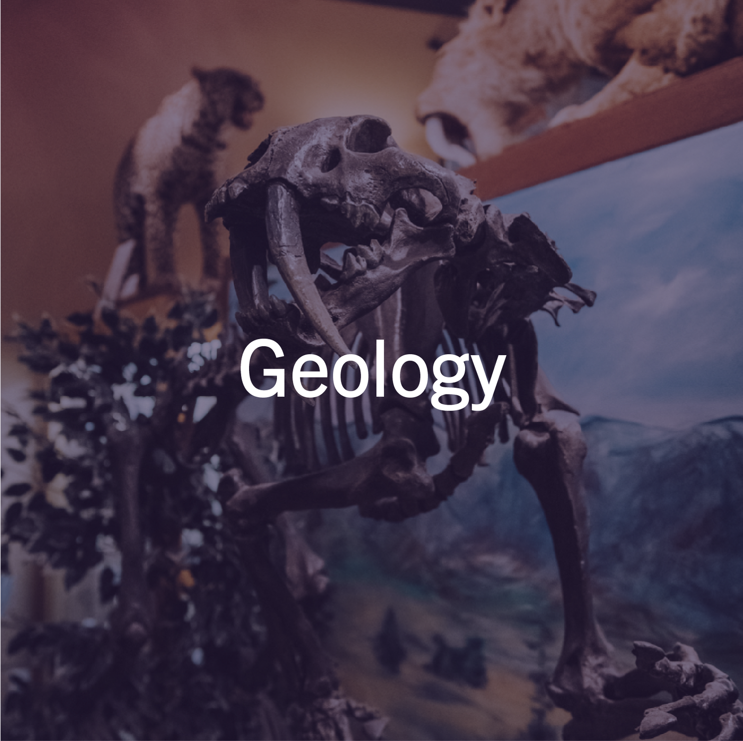 Geology