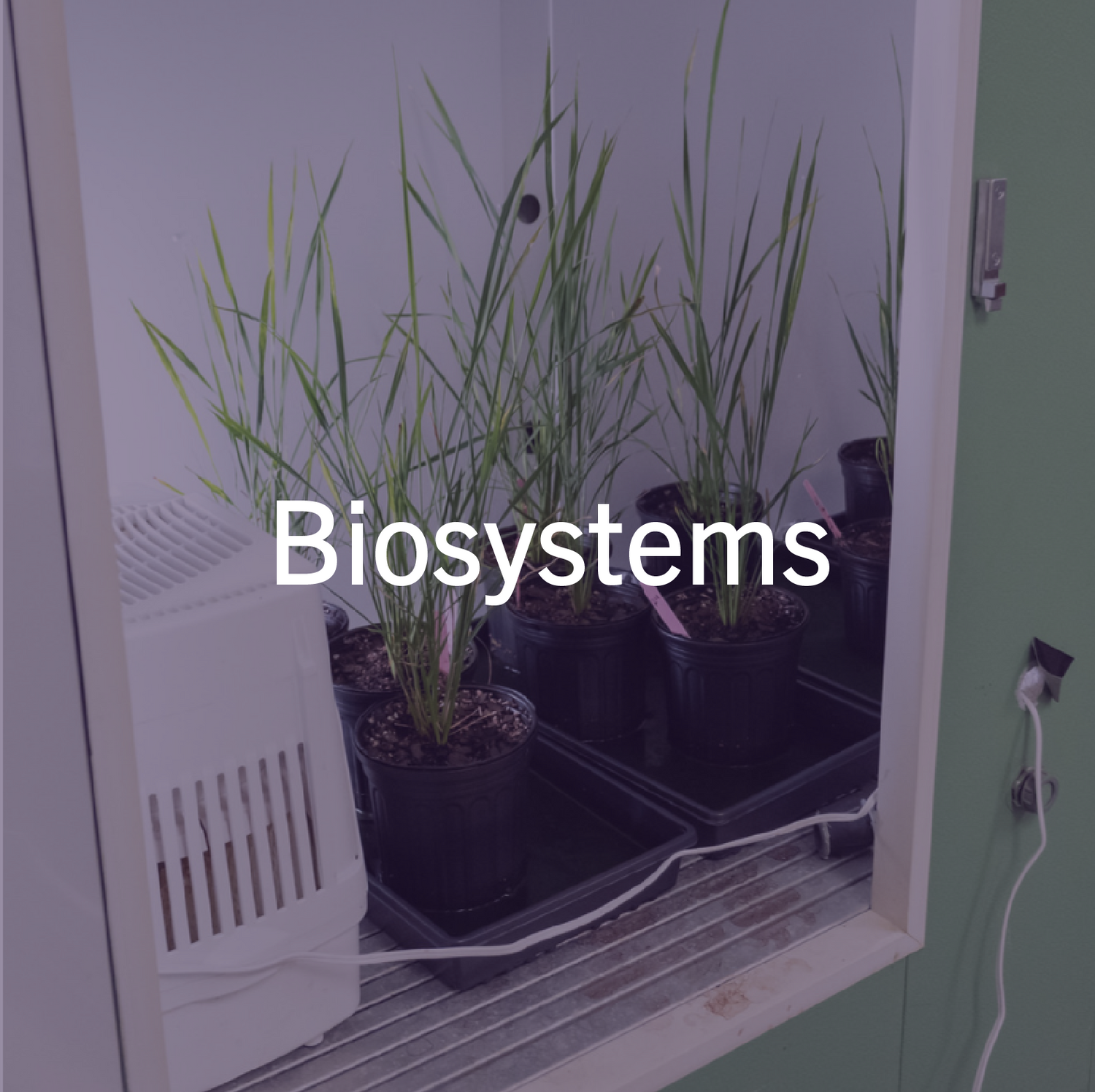 Biosystems