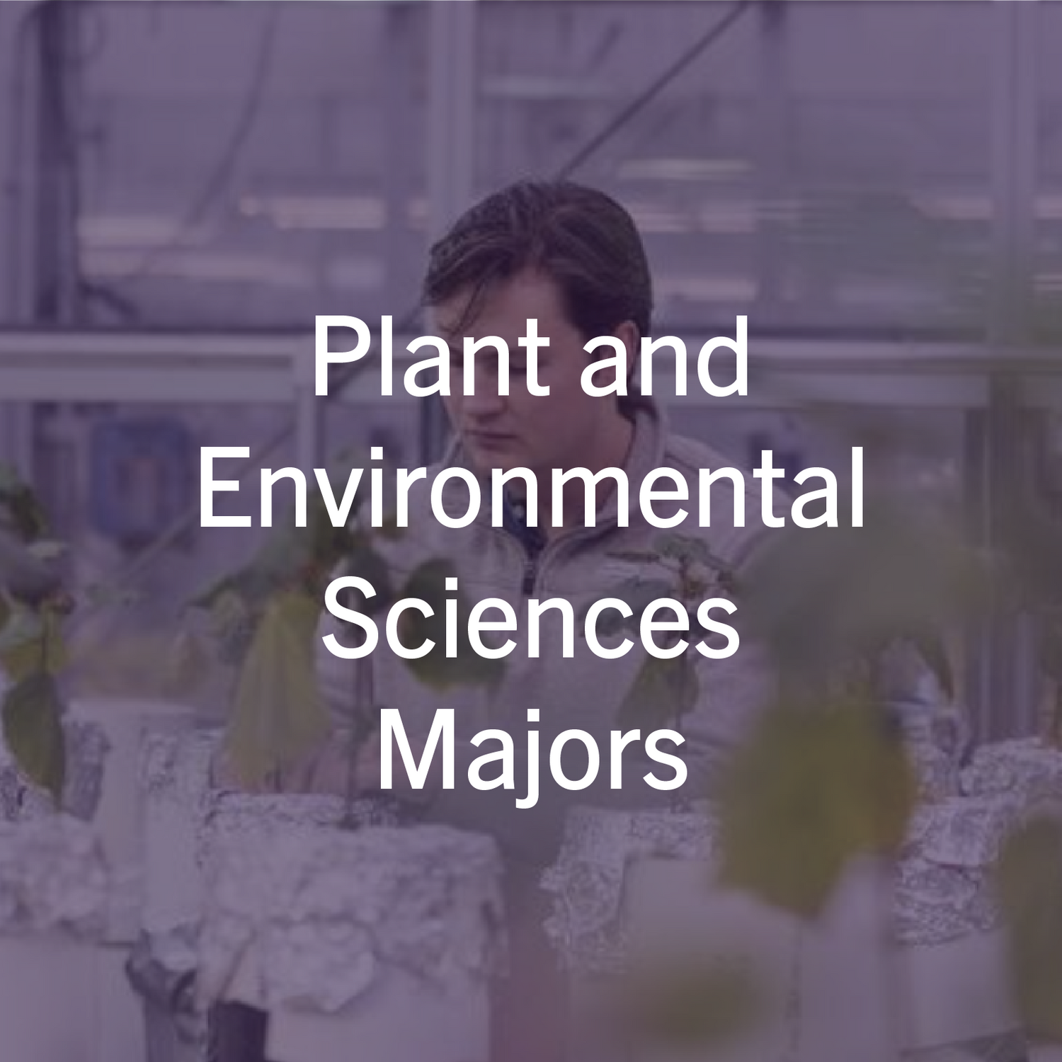 Plant and Environmental Sciences