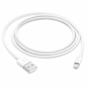 Apple Lightning to USB Cable (1m, 3ft)