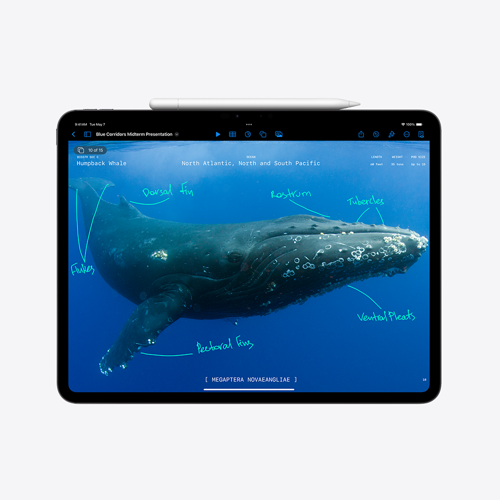 iPad Pro - 11-inch - Cellular- 2TB - Nano-Texture Glass - Silver